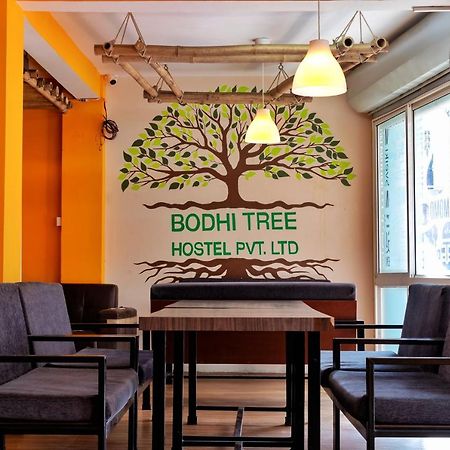 Bodhi Tree Hostel Katmandu Kültér fotó